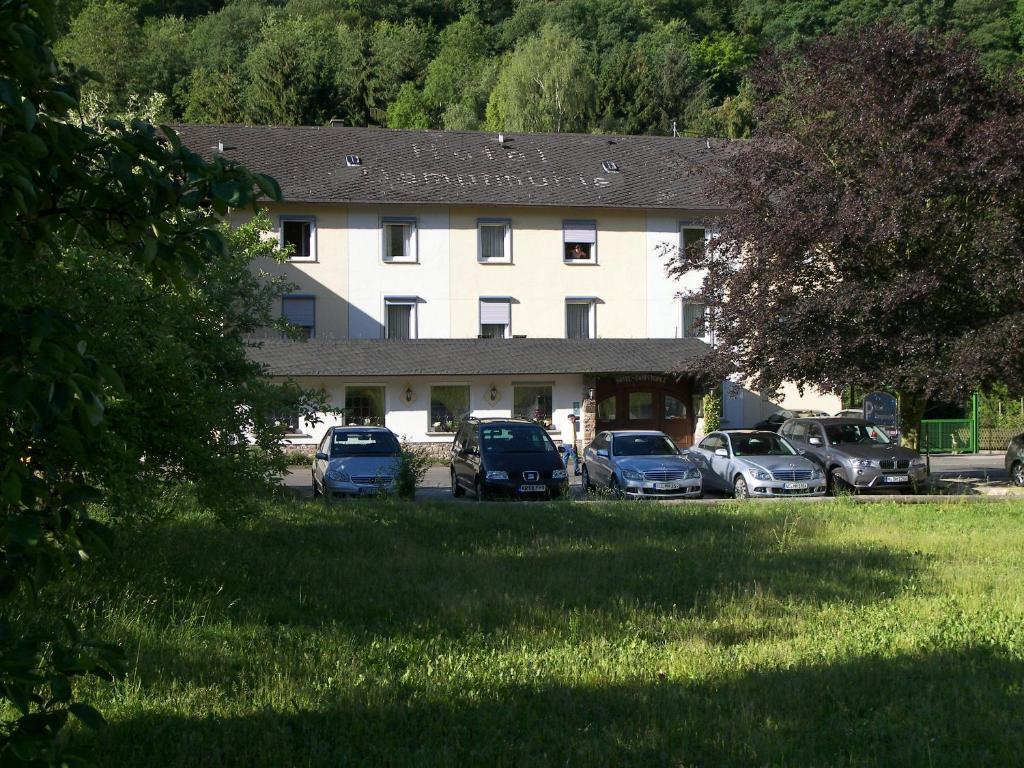 Hotel Dampfmuehle Enkirch Buitenkant foto