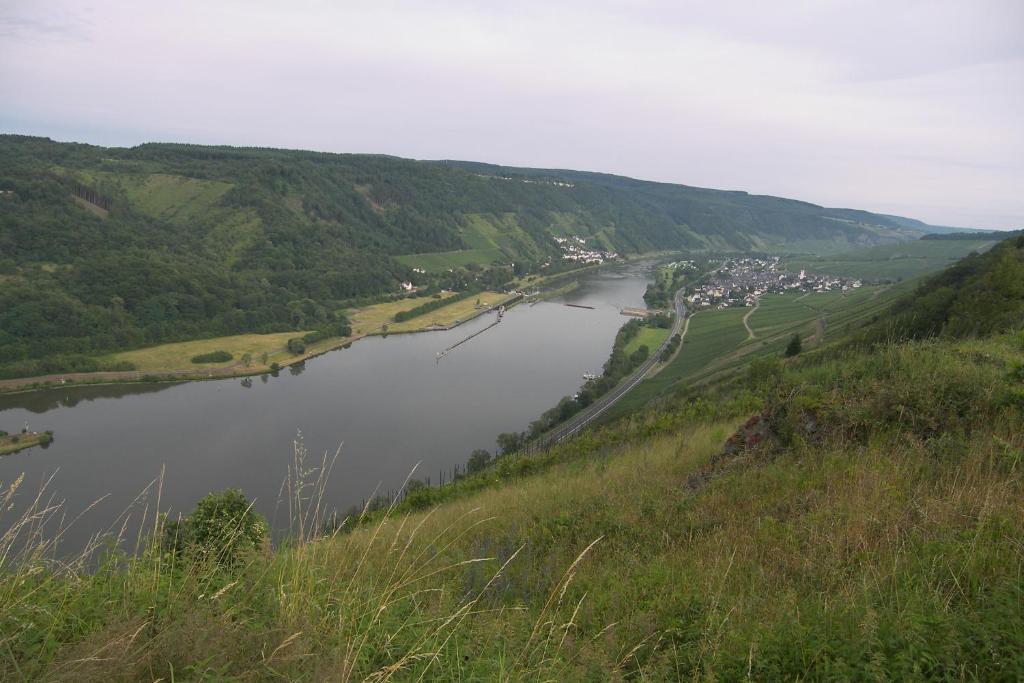 Hotel Dampfmuehle Enkirch Buitenkant foto