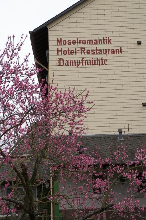 Hotel Dampfmuehle Enkirch Buitenkant foto